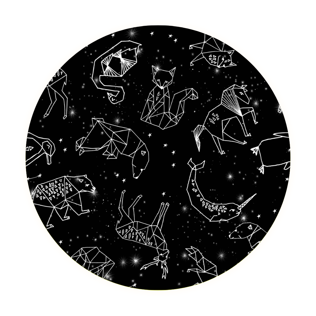 Constellations • Bamboo Zippy