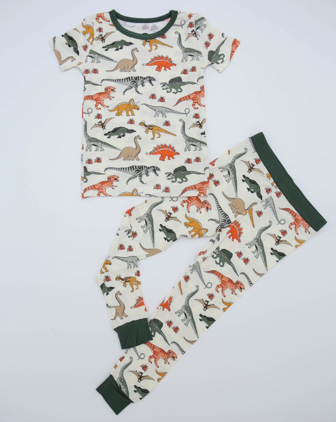 Dino Party • 2 Piece Bamboo Set