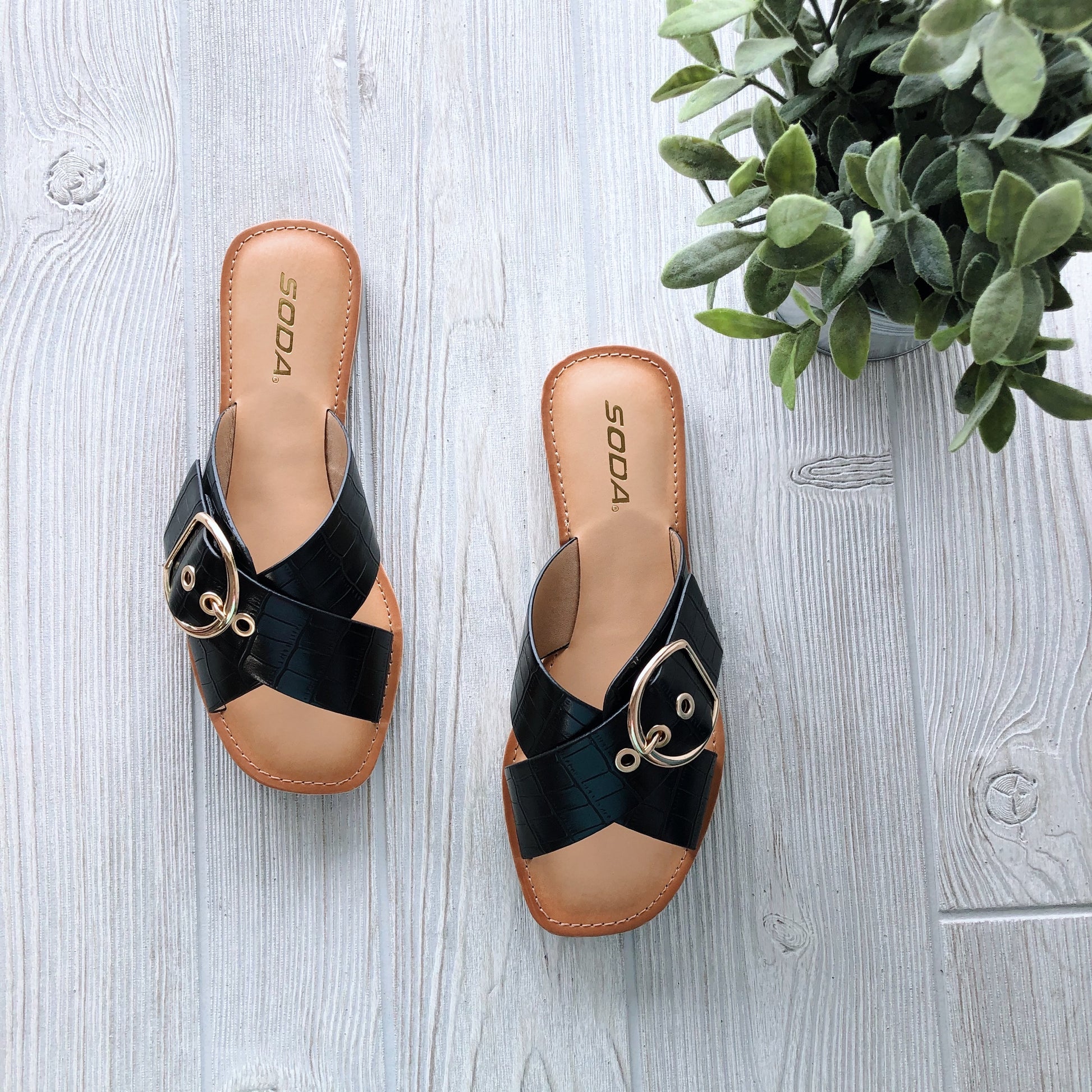 A pair of Buckle Sandal in black with gold buckles and faux crocodile print sits on a light wood floor beside a green leafy plant. The SODA label appears on the insole. Available in Cognac or Black!.