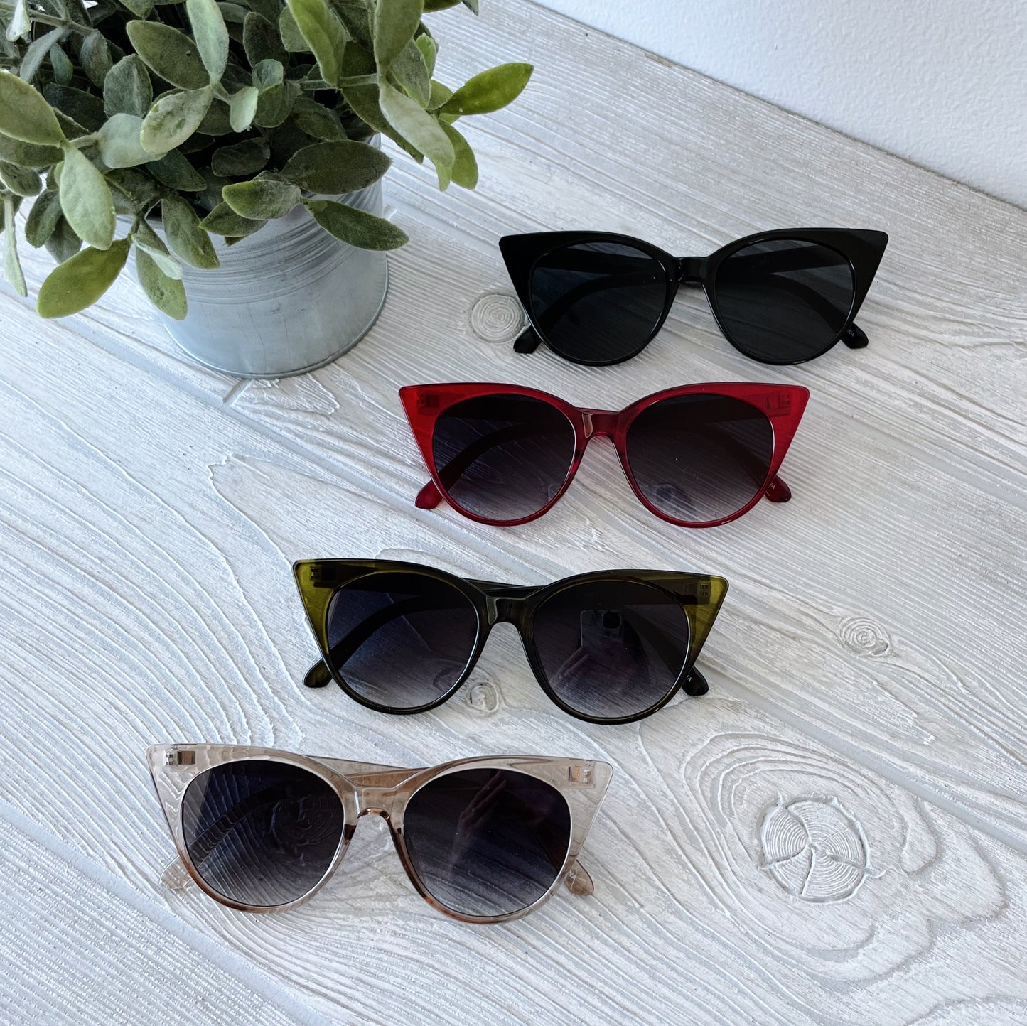 Four pairs of Kat • Adult Sunglasses—black, red, green, and beige cat-eye styles—are arranged vertically on a light wooden surface beside a potted plant. Perfect for elevating any look with bold style.