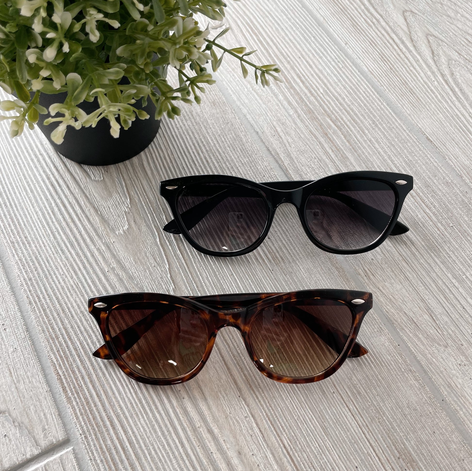 Two pairs of Bambi Sunglasses • Adult, one black and one tortoiseshell with UV400 protection, are displayed side by side on a light wooden surface next to a small potted green plant.