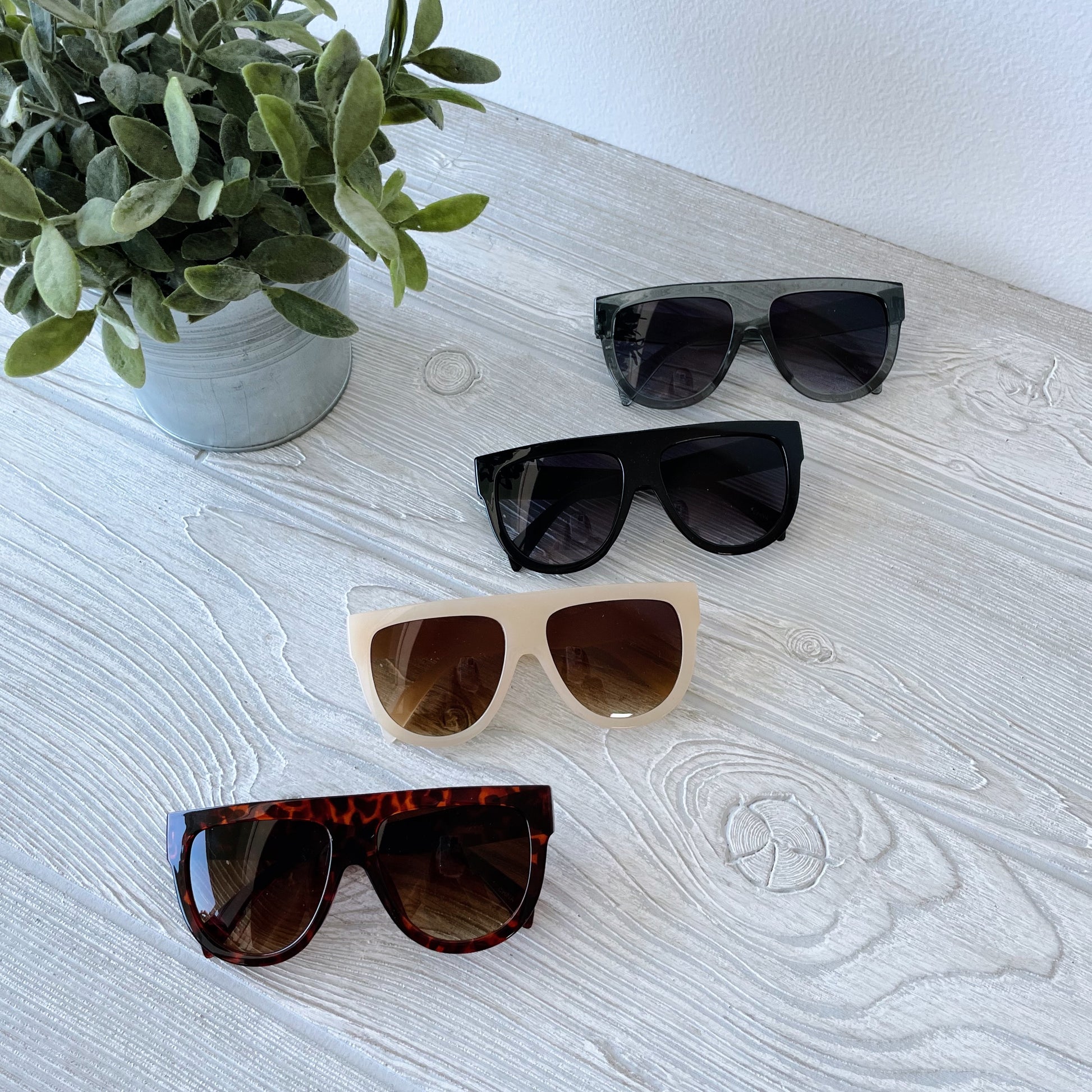 Four pairs of Tuesday Sunnies • Kids in black, dark brown, beige, and tortoiseshell are displayed on a light wooden surface beside a green potted plant—perfect stylish shades for your little one.