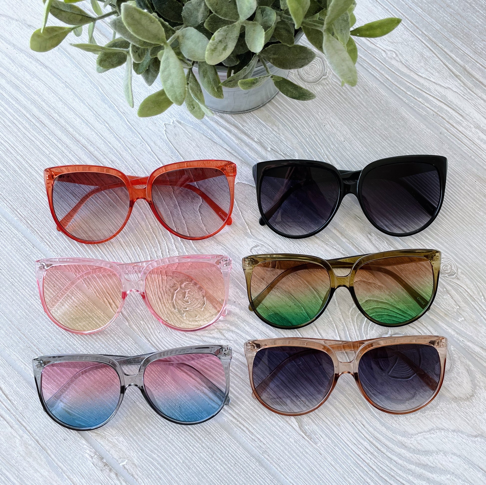 Six pairs of True • Adult Sunglasses with large, round frames in assorted shades and gradients are displayed in two rows on a light wood surface, topped by a potted green plant.