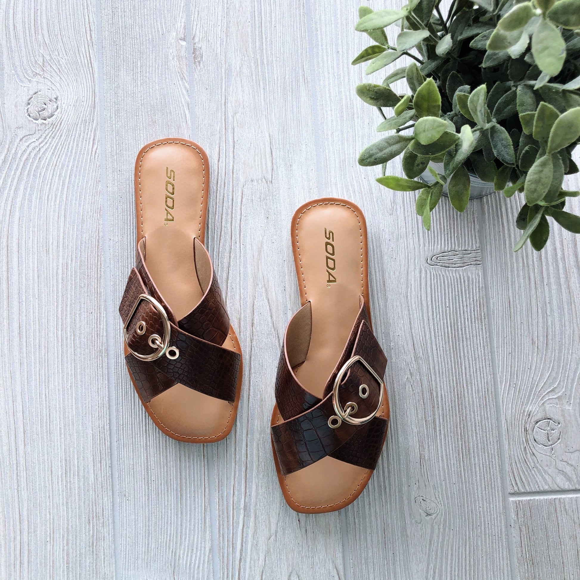 A pair of Buckle Sandal in cognac with gold buckles and a faux crocodile print rests on a light wood floor beside a green leafy plant.
