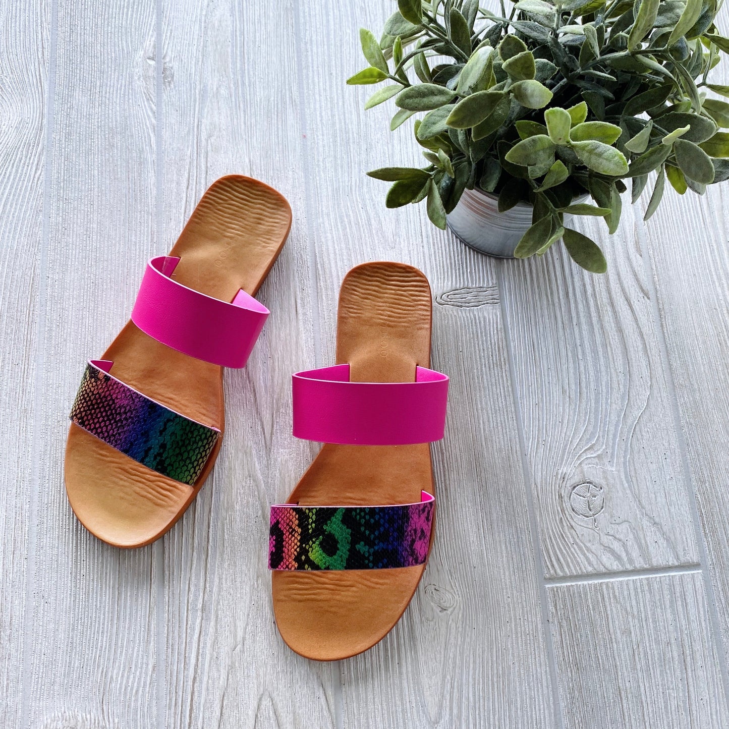 The Rainbow Neon Sandal (Size 7.5) features tan soles and pink multicolored snakeskin-patterned straps, shown on a light wood floor beside a leafy green plant—perfect for your on-the-go lifestyle.