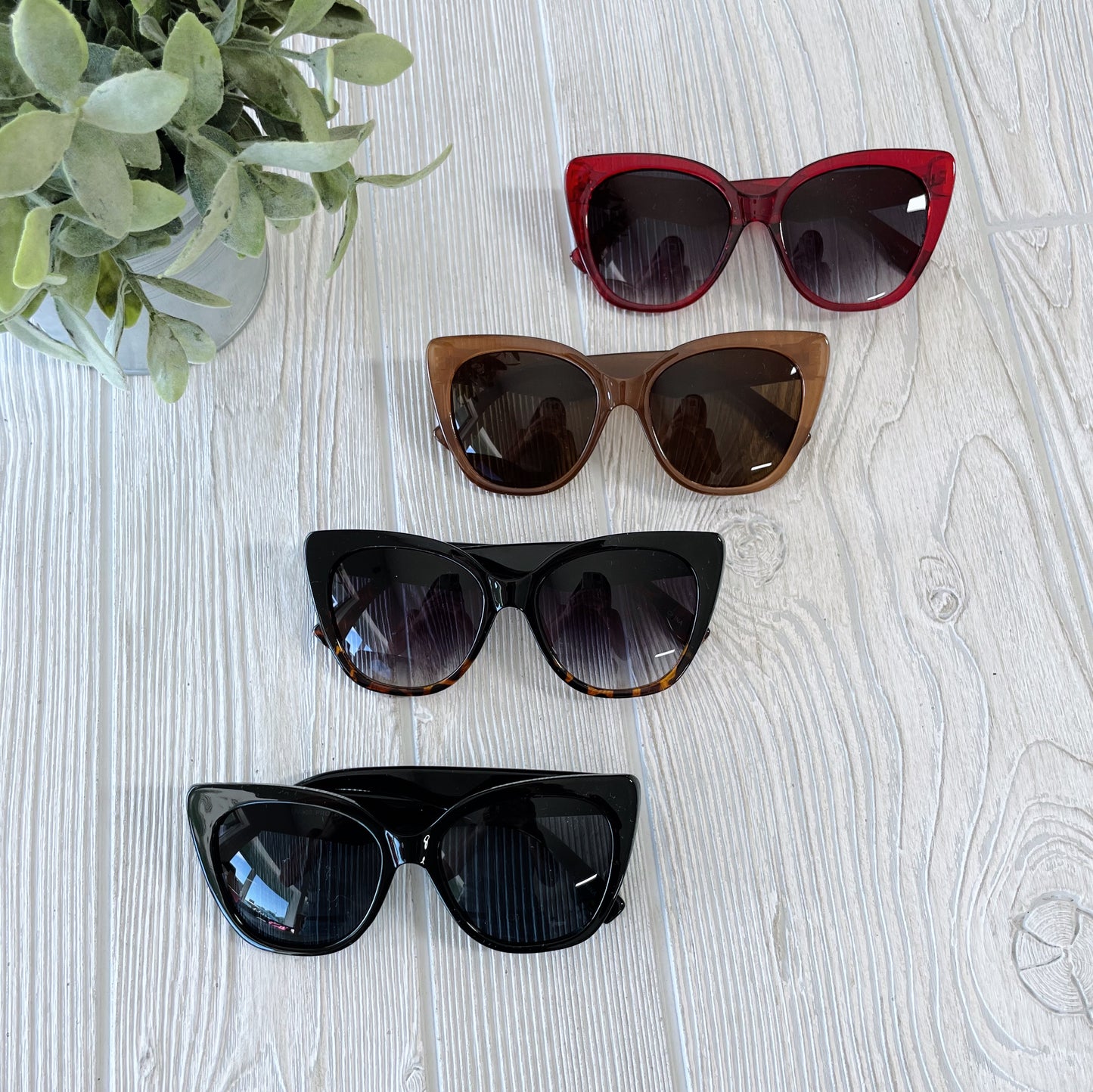 Four pairs of Venus • Adult Sunglasses in red, brown, black with brown gradient lenses, and black with dark lenses (cat-eye style) are arranged vertically on a light wood surface beside a potted plant. Final sale.