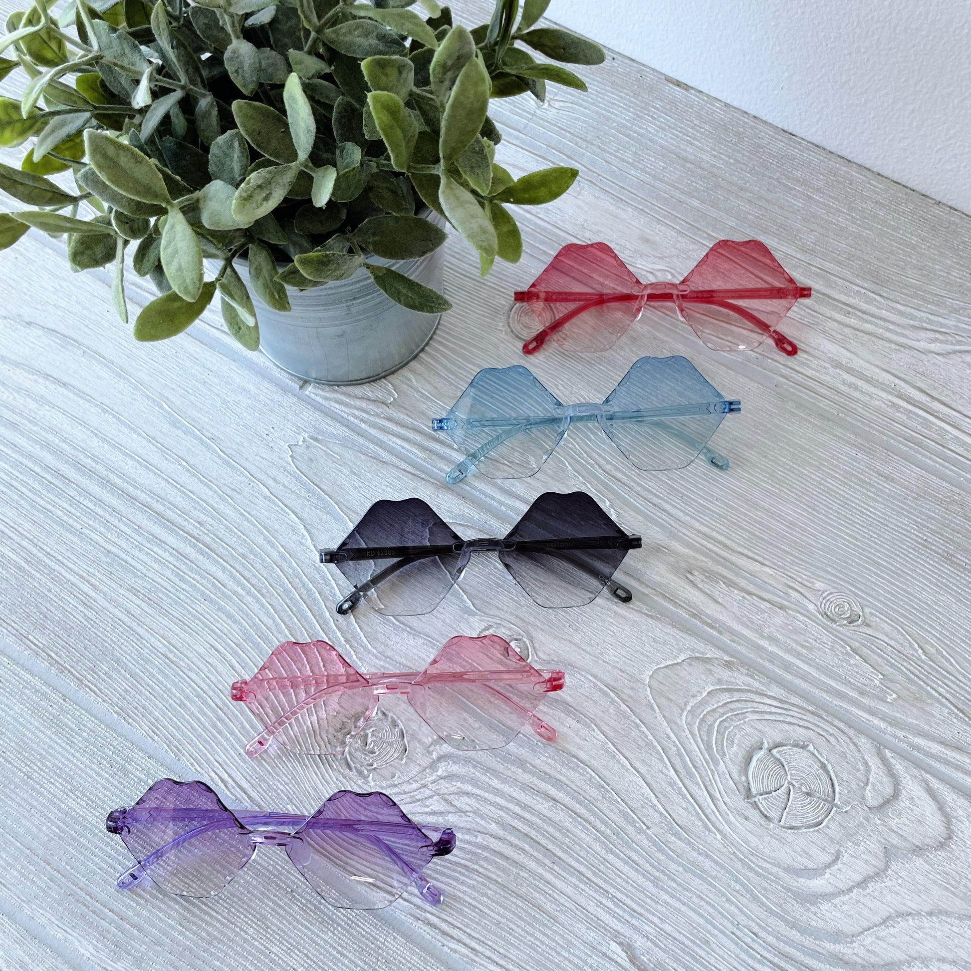 Five pairs of Arya Sunnies • Kids cat-shaped sunglasses in red, blue, black, pink, and purple are displayed on a light wood surface beside a potted green plant.