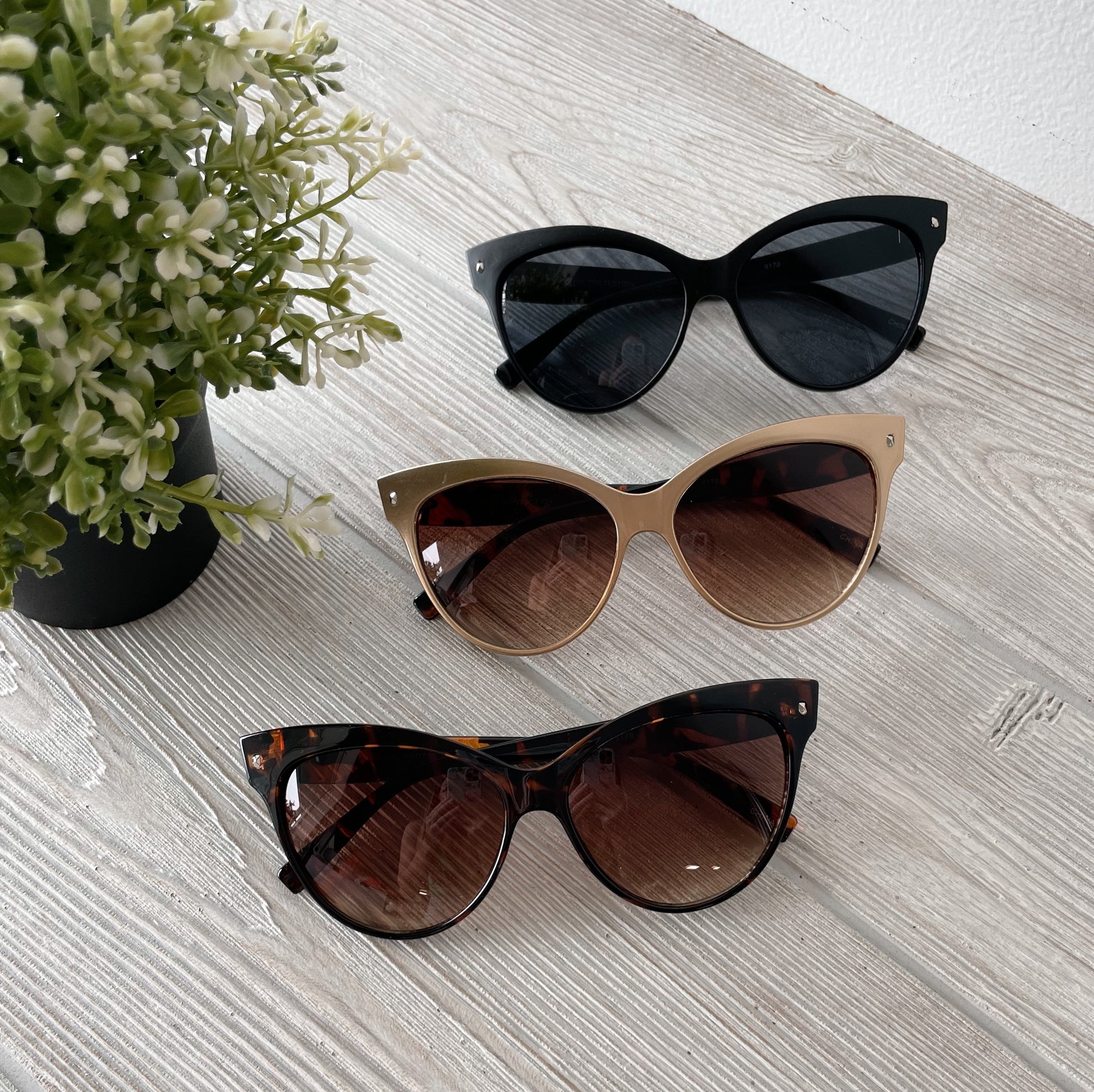 Three pairs of Sorya Sunglasses • Adult—black, gold, and tortoiseshell—are displayed on a light wooden surface beside a small potted plant, each offering UV400 protection for your eyes.
