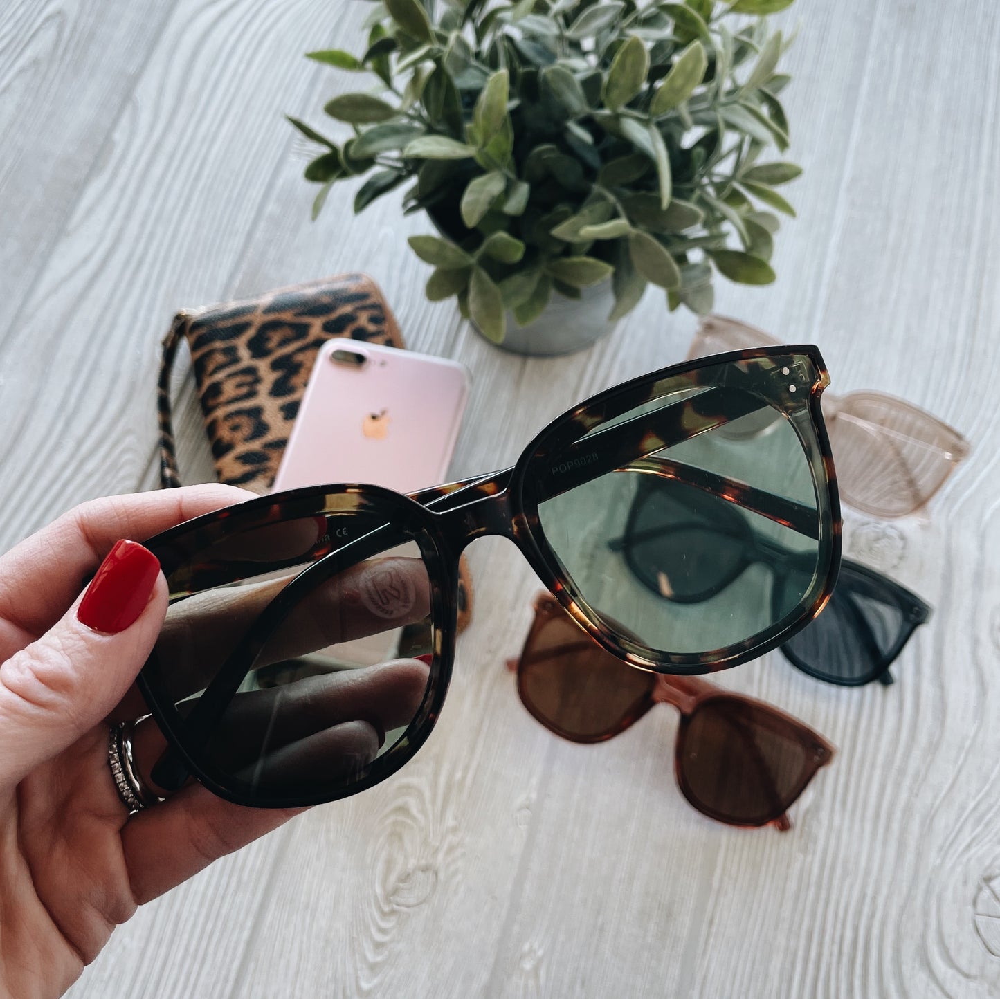 Finley • Adult Sunglasses