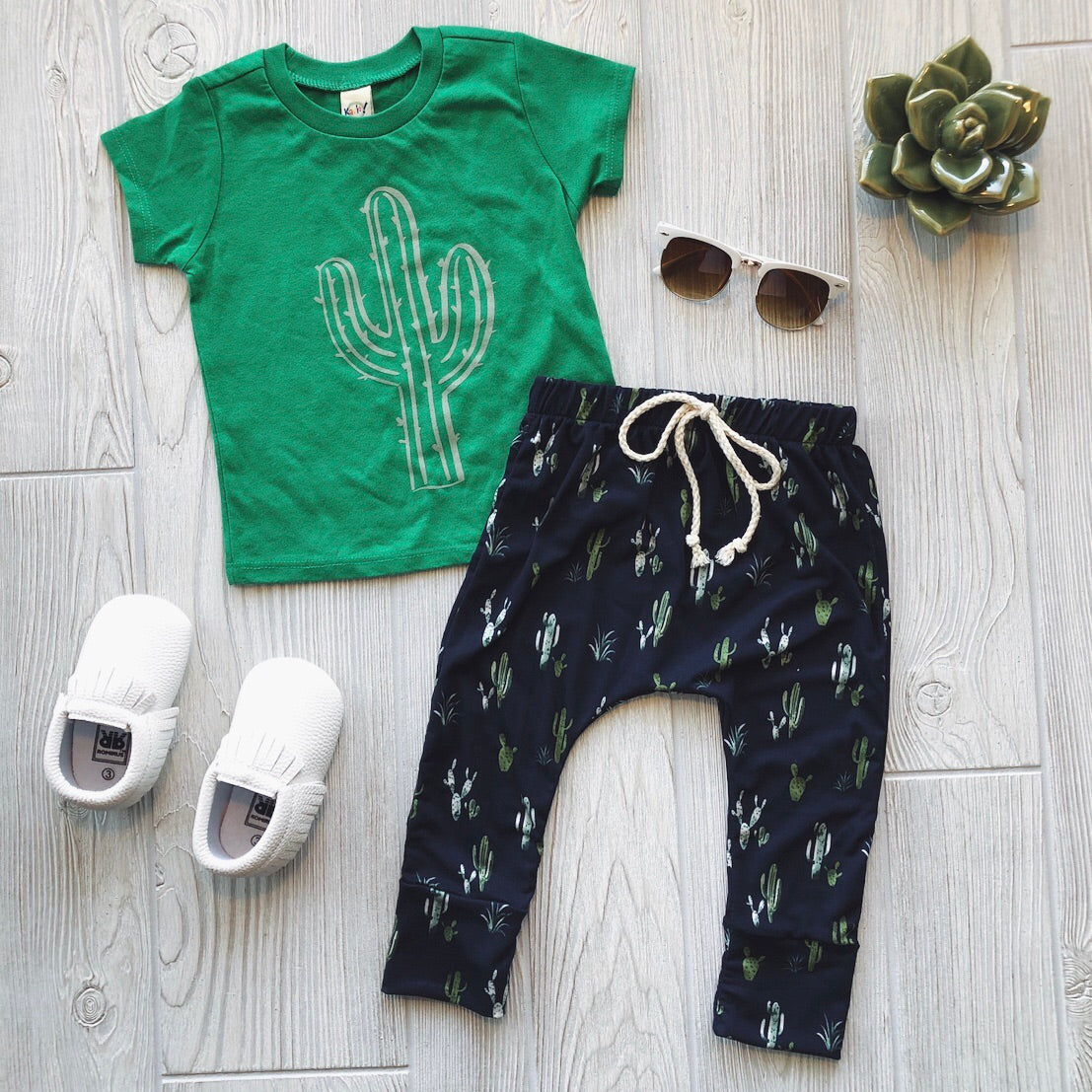 Cactus Harems • More Colors!