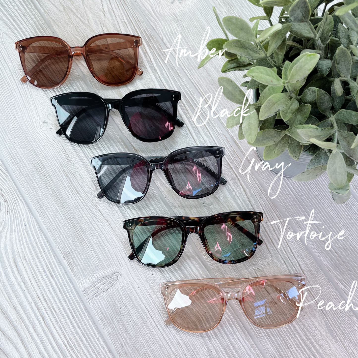 Finley • Adult Sunglasses